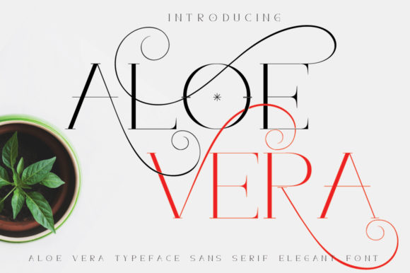 Aloe Vera Typeface for Elegant Social Media Graphics