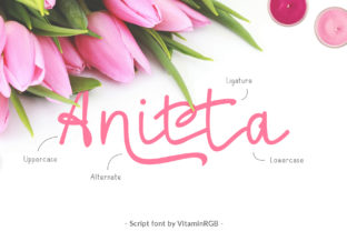 Anitta Script for Elegant Handmade Labels and Invitations