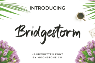 Bridgestorm Script Handwritten Font Review for Campaign Design