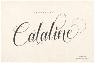 Cataline Script for Elegant Branding and Modern Design