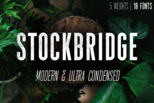 Stockbridge Typeface Review for Modern Editorial Design